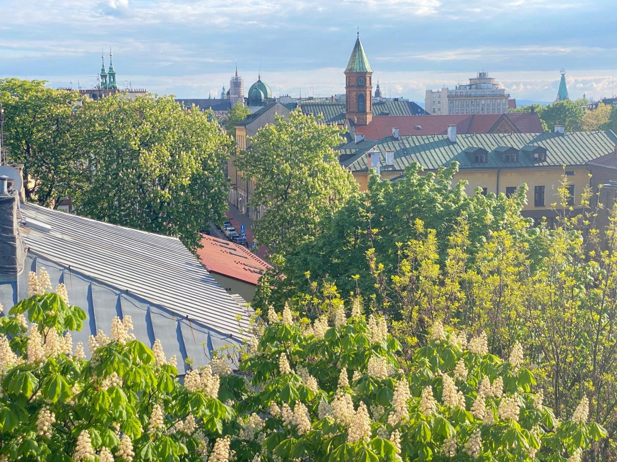 Angel Mint Apartment - Free Parking - Balcony Краків Екстер'єр фото